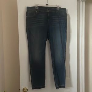 Lucky Brand Jeans Ginger Skinny sz 16